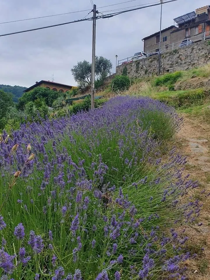 Il Casalino - Nido Nel Chianti Villa San Clemente in Valle